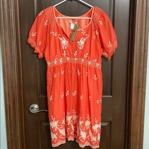 Francesca’s Embroidered Dress